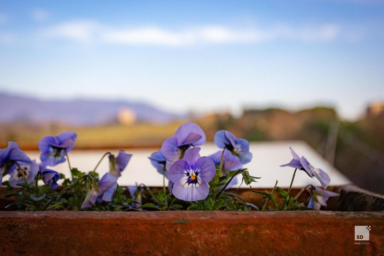 Tenuta Il Burchio Incisa in Val d'Arno Exterior foto